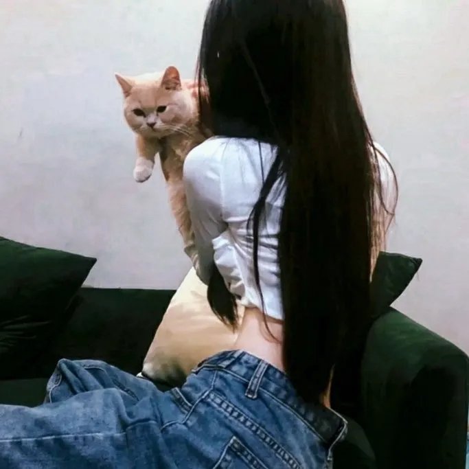 六尸案